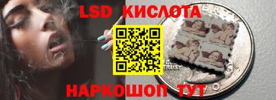 прущие грибы Апшеронск