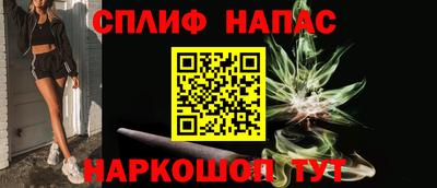 прущие грибы Апшеронск