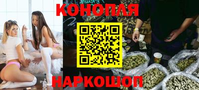 прущие грибы Апшеронск