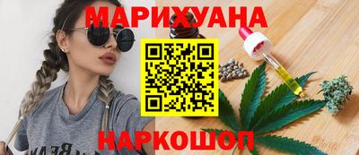 прущие грибы Апшеронск