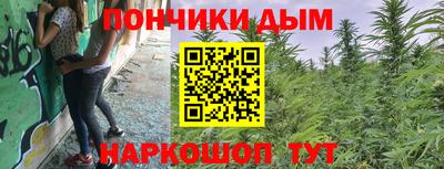 прущие грибы Апшеронск