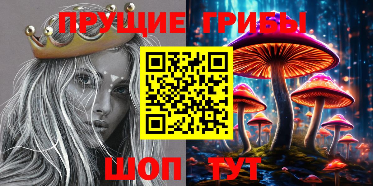 Галлюциногенные грибы Psilocybe Бор