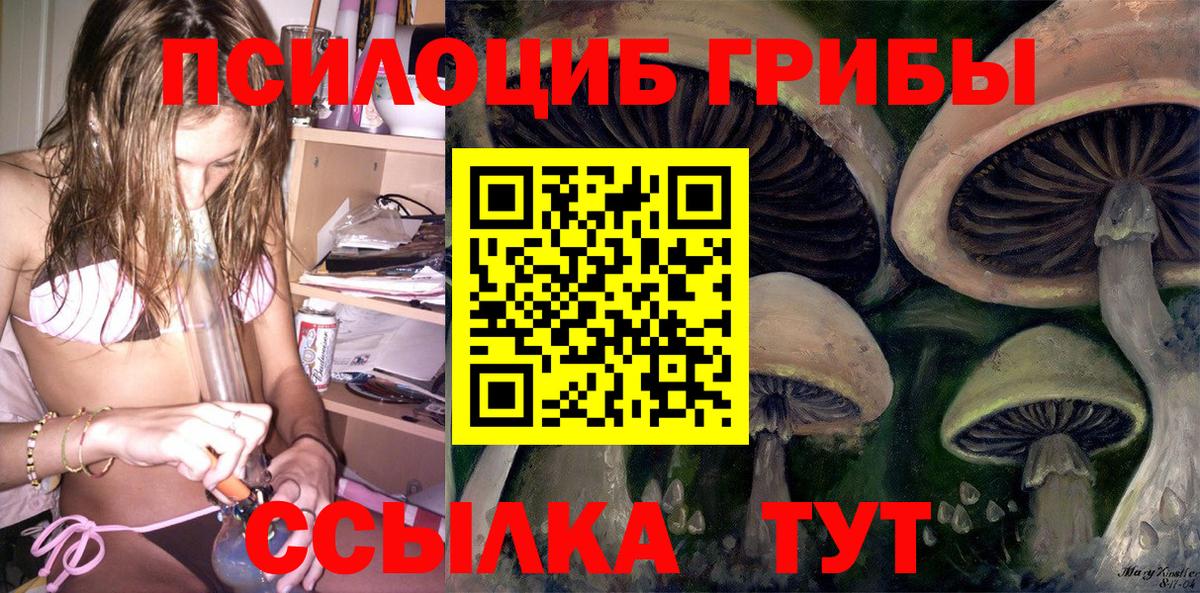 Галлюциногенные грибы GOLDEN TEACHER  Псилоцибиновые грибы ЛСД  закладки  Бор  Вход с VPN 